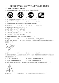 福建省福州市杨桥中学2024-2025学年八年级上学期10月月考数学试卷(无答案)