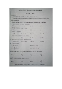 河南省洛阳市洛宁县2024-—2025学年九年级上学期10月月考数学试题