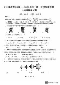 重庆市重庆市巴南区2024-2025学年九年级上学期10月月考数学试题