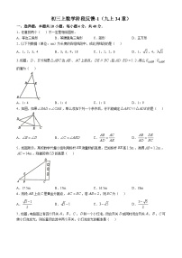 山东省济南市历下区德润初级中学2024-2025学年九年级上学期10月月考数学试题(无答案)