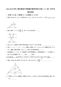 上海外国语大学附属外国语学校 2024-2025学年九年级上学期第一次月考数学试卷