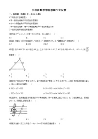 河南省郑州市外国语中学2024-2025学年九年级上学期第一次月考数学试卷(无答案)