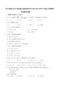 [数学]四川省眉山市仁寿县城北实验初级中学2022～2023学年八年级上学期期中考试试题(有详解)