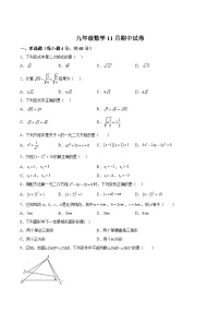四川省眉山市仁寿县2024届九年级上学期11月期中考试数学试卷(含答案)