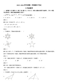 天津市部分区2023-2024学年八年级上学期期中考试数学试卷(含解析)