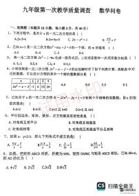 辽宁省锦州市第十二中学2024-2025学年九年级上学期10月月考数学试题