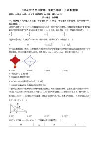 广东省深圳市深圳中学龙岗初级中学2024—2025学年九年级上学期10月月考数学试卷(无答案)