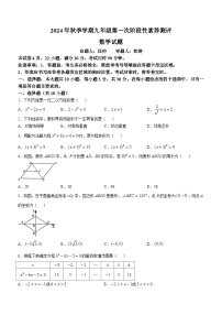 广东省深圳市龙华区新华中学2024—2025学年上学期九年级10月月考数学试卷(无答案)