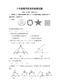 山东省潍坊市高密市 立新中学2024-2025学年八年级上学期10月月考数学试题