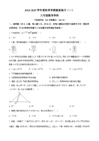 南宁市第三中学2024-2025学年八年级上学期10月月考数学试题（原卷版）