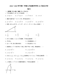 江苏省苏州园区唯亭学校2024-2025学年上学期九年级数学10月月考卷(无答案)