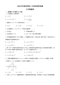 安徽省安安庆市外国语学校2024-2025学年九年级上学期10月月考数学试题