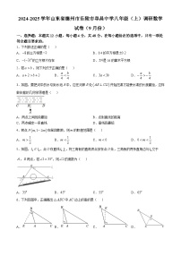 山东省德州市乐陵市阜昌中学2024-2025学年八年级上学期调研数学试卷（9月份）