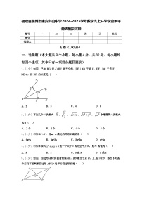 福建省泉州市惠安科山中学2024-2025学年数学九上开学学业水平测试模拟试题【含答案】