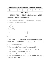 福建省漳州市2024-2025学年数学九上开学达标检测模拟试题【含答案】