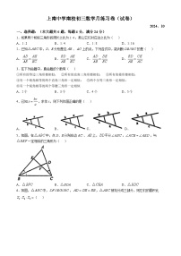 上海市山南中学南校2024-2025学年九年级上学期10月月考数学试卷(无答案)