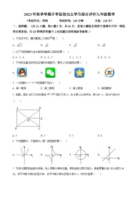 精品解析：广西南宁市高新区民大中学2023-2024学年九年级上学期开学考数学试题