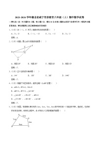 湖北省咸宁市赤壁市2023-2024学年八年级上学期期中考试数学试卷(含答案)