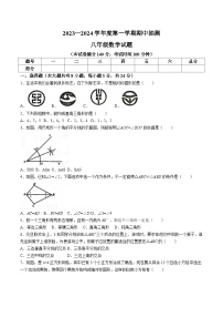 江苏省徐州市新沂市2023-2024学年八年级上学期期中考试数学试卷(含答案)