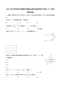 四川省绵阳市游仙区富乐实验中学2023-2024学年七年级下学期期中考试数学试卷
