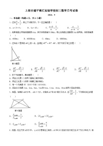 上海市浦东新区建平南汇实验学校2024-2025学年九年级上学期9月月考数学试卷