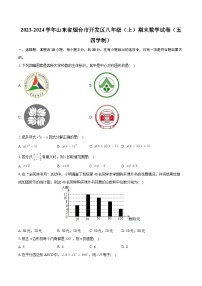 山东省烟台市开发区2023-2024学年八年级上学期期末考试数学试卷（五四学制 ）