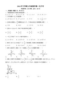 湖南省岳阳市第九中学2024-2025学年九年级上学期第一次月考数学试题(无答案)