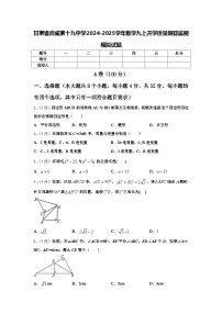 甘肃省武威第十九中学2024-2025学年数学九上开学质量跟踪监视模拟试题【含答案】