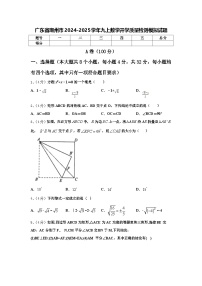 广东省潮州市2024-2025学年九上数学开学质量检测模拟试题【含答案】