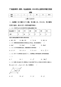 广东省东莞市（莞外、松山湖实验）2024年九上数学开学复习检测试题【含答案】