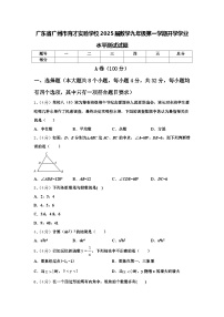 广东省广州市育才实验学校2025届数学九年级第一学期开学学业水平测试试题【含答案】