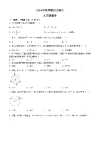 江苏省无锡市南长实验中学2024-2025学年九年级上学期10月自主练习数学试题(无答案)