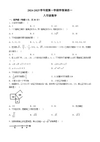 广东省河源市龙川县2024-2025学年八年级上学期第一次月考数学试题(无答案)