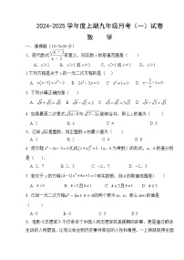 河南省驻马店市上蔡县第一初级中学2024-2025学年九年级上学期10月月考数学试题