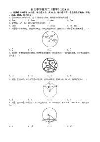 浙江省温州市温州实验中学2024—-2025学年九年级上学期10月月考数学试卷(无答案)