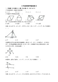 天津市武清区杨村第八中学　 2024-2025学年八年级上学期数学10月月考试卷(无答案)