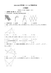 辽宁省鞍山市第二十六中学、高新实验学校2024-2025学年八年级上学期10月月考数学试卷