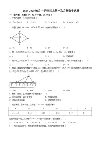 广东省佛山市南海区桂城街道映月中学2024-2025学年九年级上学期10月月考数学试题