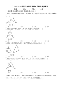 广东省阳江市第二中学2024-2025学年八年级上学期9月月考数学试题(无答案)