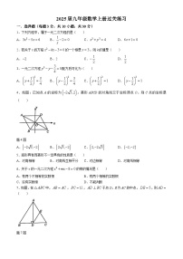 广东省佛山市南海区桂城街道叠滘初级中学2024-2025学年九年级上学期10月月考数学试题