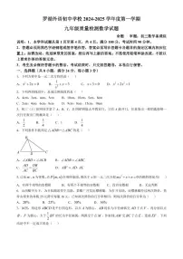 广东深圳罗湖外语初中学校2025届上学期九年级10月月考数学试卷+答案