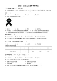 广东省佛山市南海区桂城街道桂江第二初级中学2024-2025学年九年级上学期10月月考数学试题(无答案)