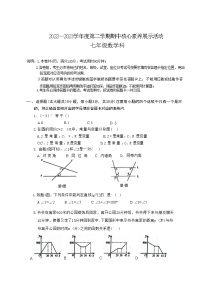 广东省清远市连州市2022—-2023下学期期中考试七年级数学试题