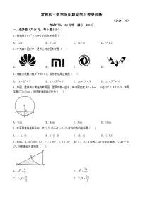 北京市十一学校2024--2025学年上学期九年级10月月考数学试卷(无答案)