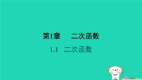 初中数学湘教版（2024）九年级下册1.1 二次函数习题课件ppt