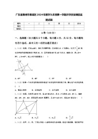 广东省惠州市惠城区2024年数学九年级第一学期开学质量跟踪监视试题【含答案】