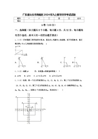 广东省汕头市潮南区2024年九上数学开学考试试题【含答案】