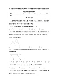 广东省汕头市潮南区峡山中学2025届数学九年级第一学期开学教学质量检测模拟试题【含答案】