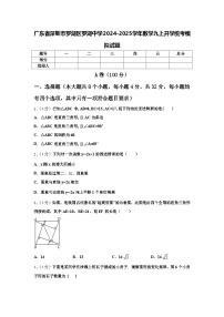 广东省深圳市罗湖区罗湖中学2024-2025学年数学九上开学统考模拟试题【含答案】