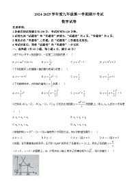 安徽省合肥市第三十八中学2024-2025学年九年级上学期10月期中数学试题(无答案)